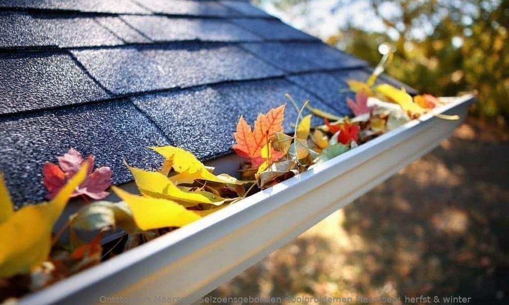 Seizoensgebonden rioolproblemen Maarssen: herfst & winter