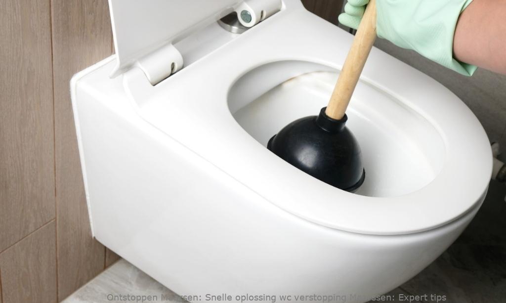 Snelle oplossing wc verstopping Maarssen: Expert tips